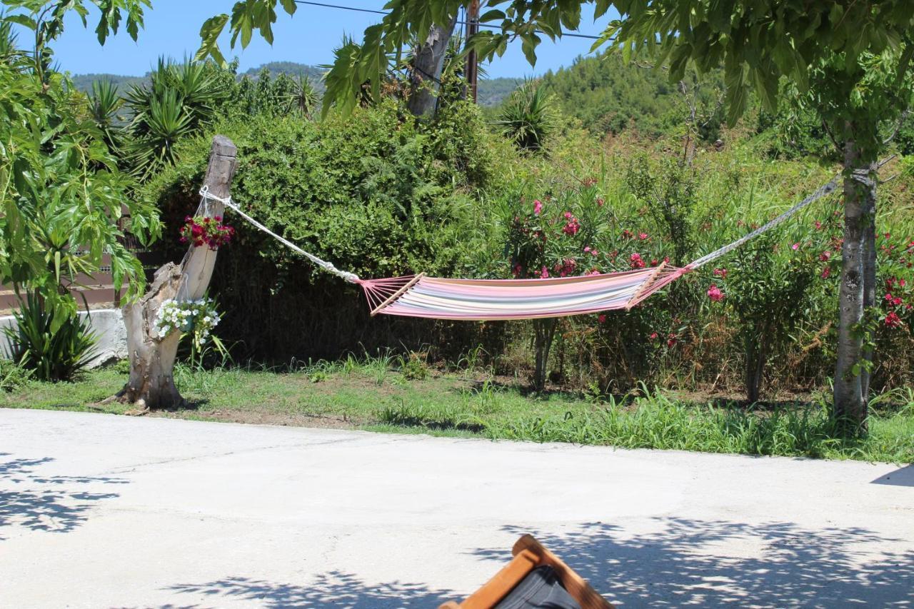 Anastazia Paradise Kolios Luaran gambar